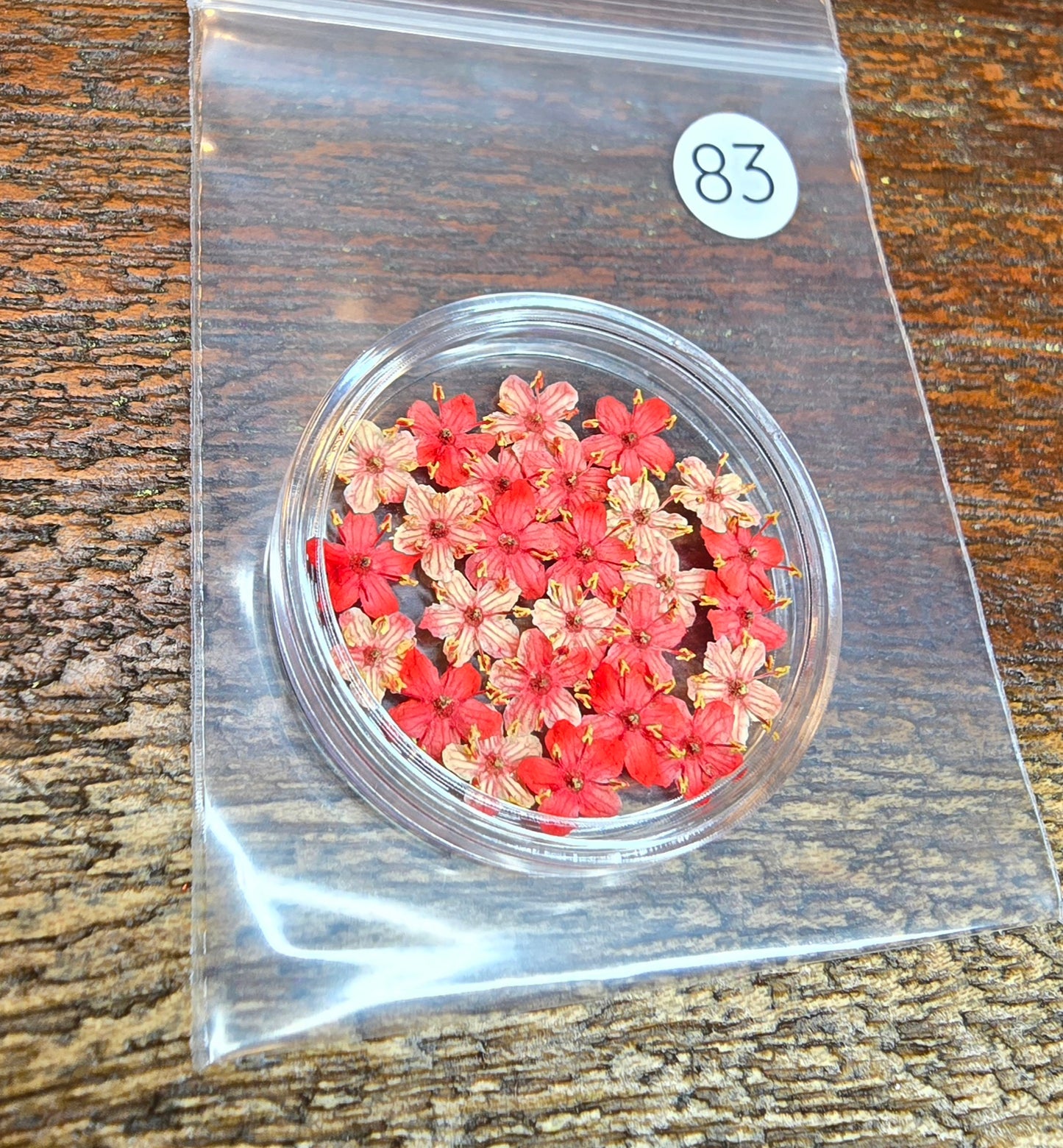 SPECIAL 3D elderflowers