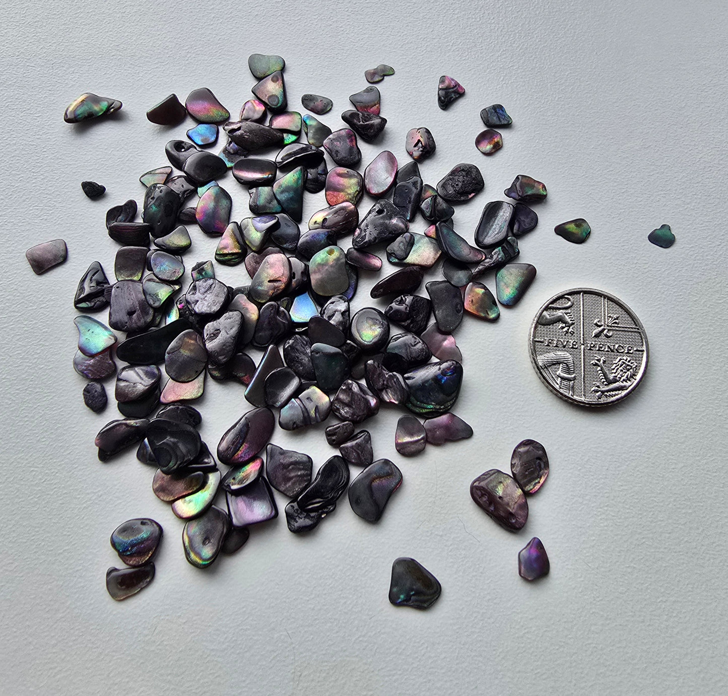 Shell pebbles 10g bags