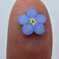 Pressed forget me nots
