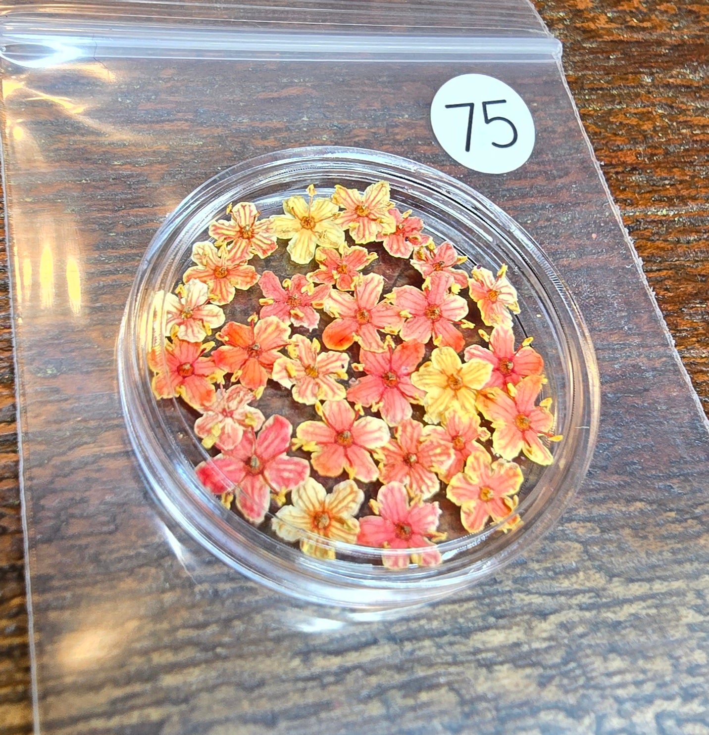 SPECIAL 3D elderflowers