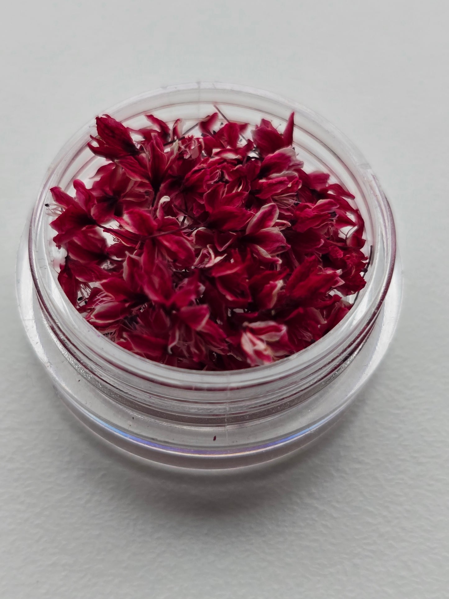 Dyed 3d Japanese blossoms