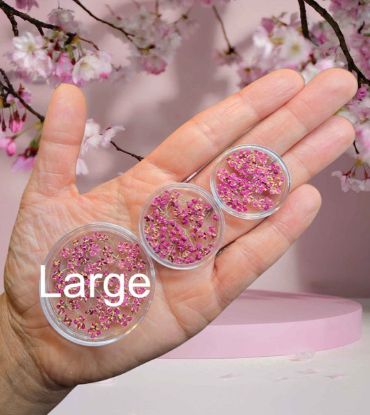 Large flower pots