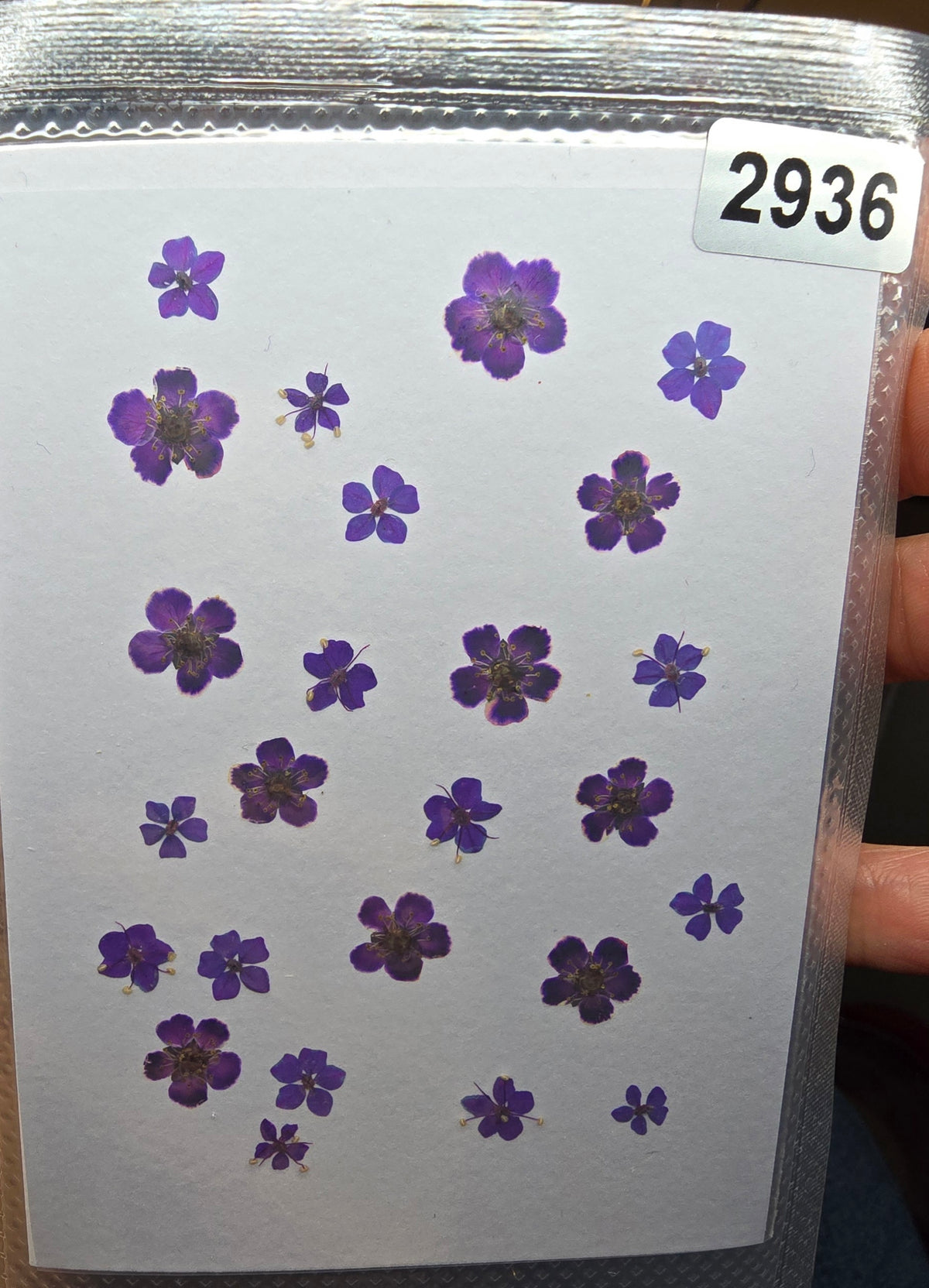 One off flower mixes