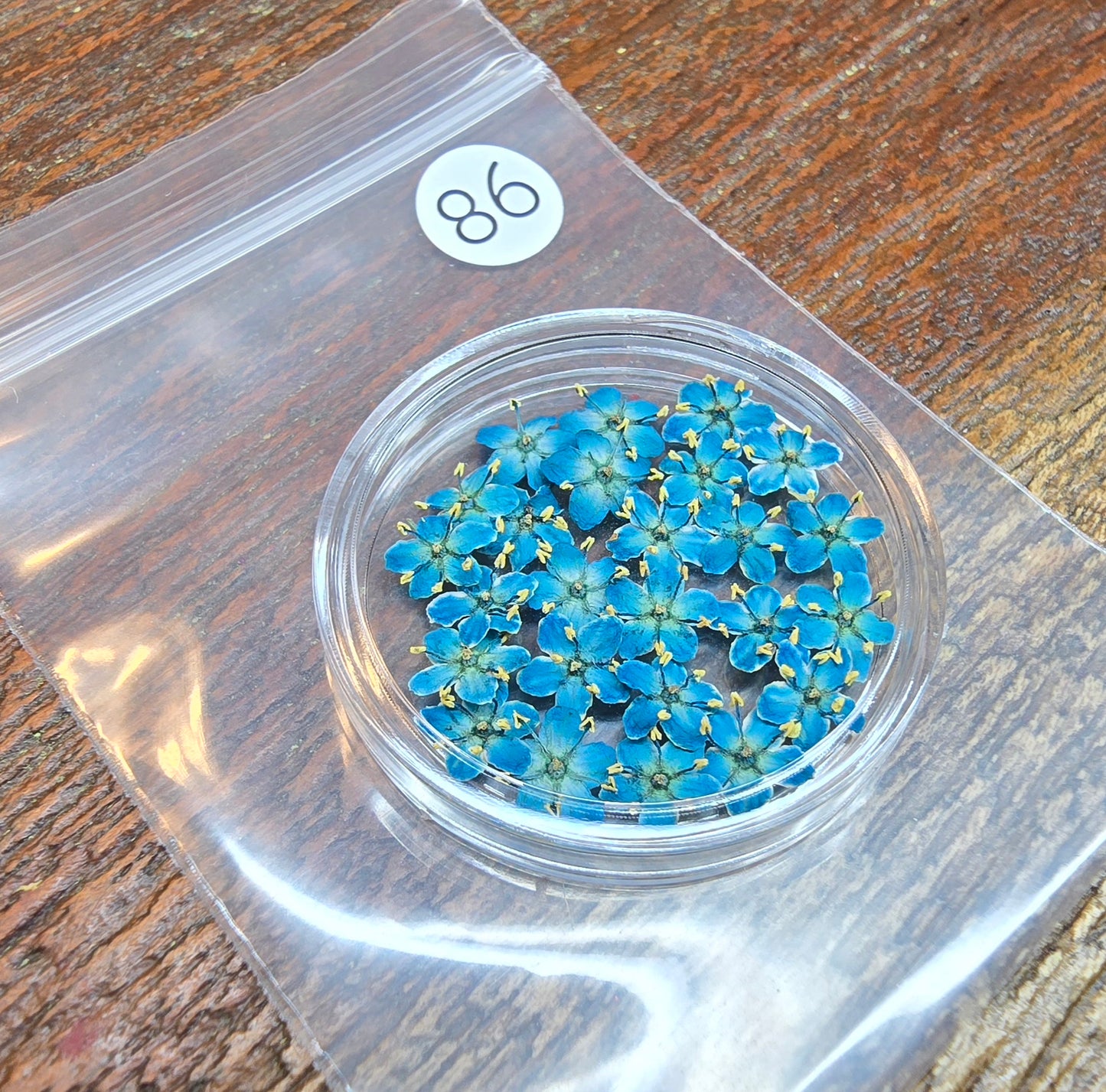 SPECIAL 3D elderflowers