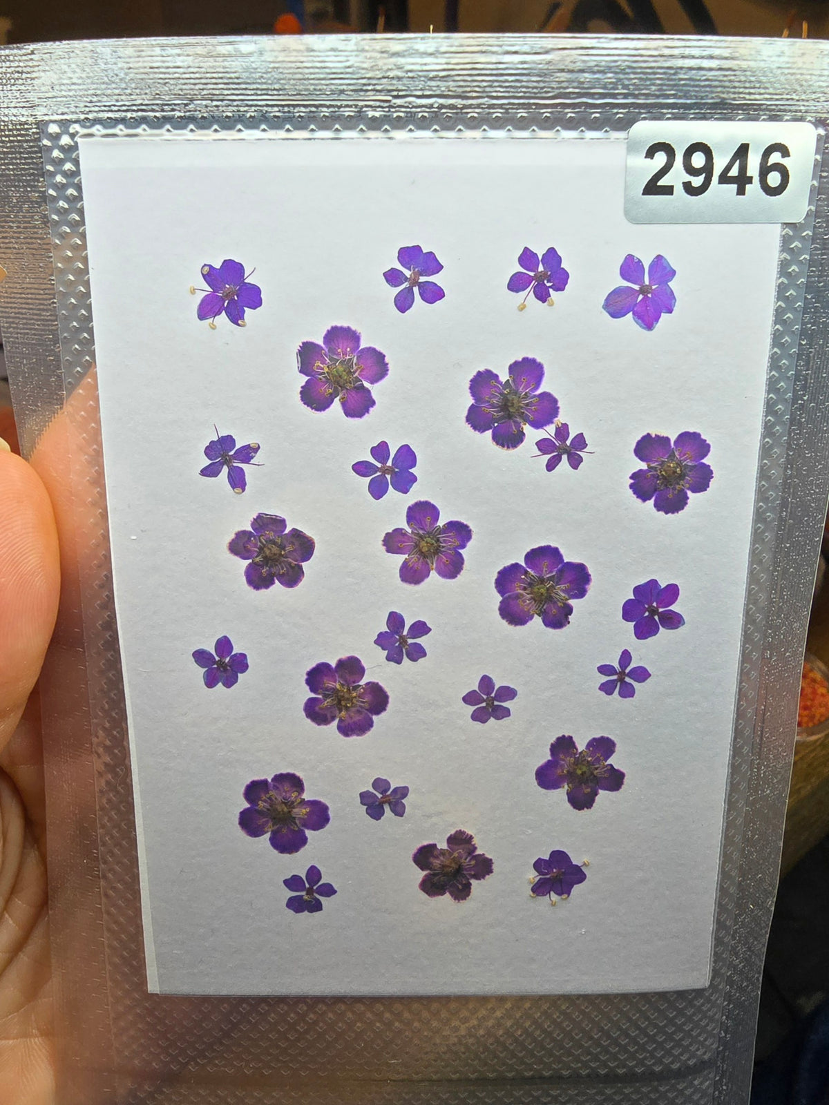 One off flower mixes