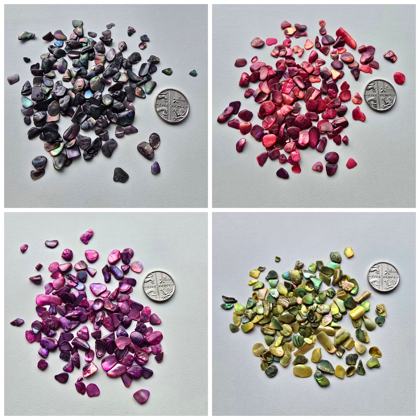 Shell pebbles 10g bags