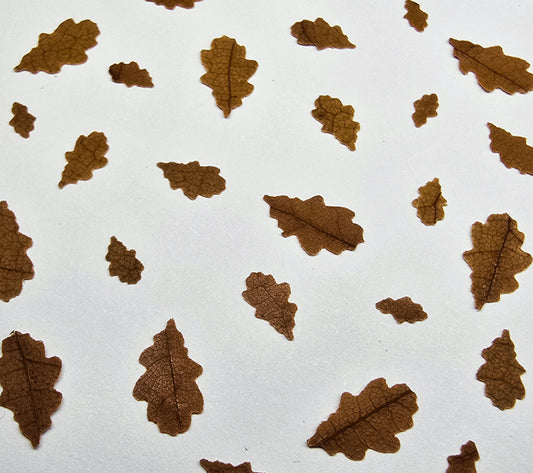 Tiny oak leaves