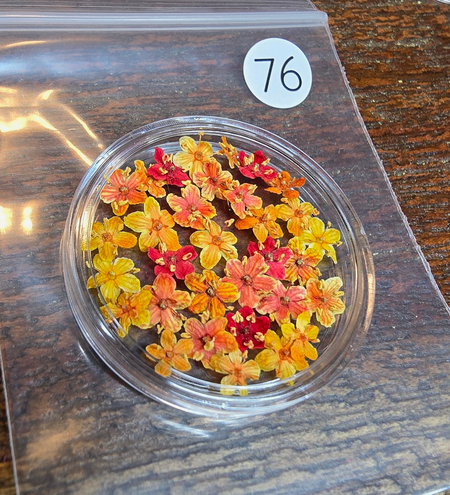 SPECIAL 3D elderflowers