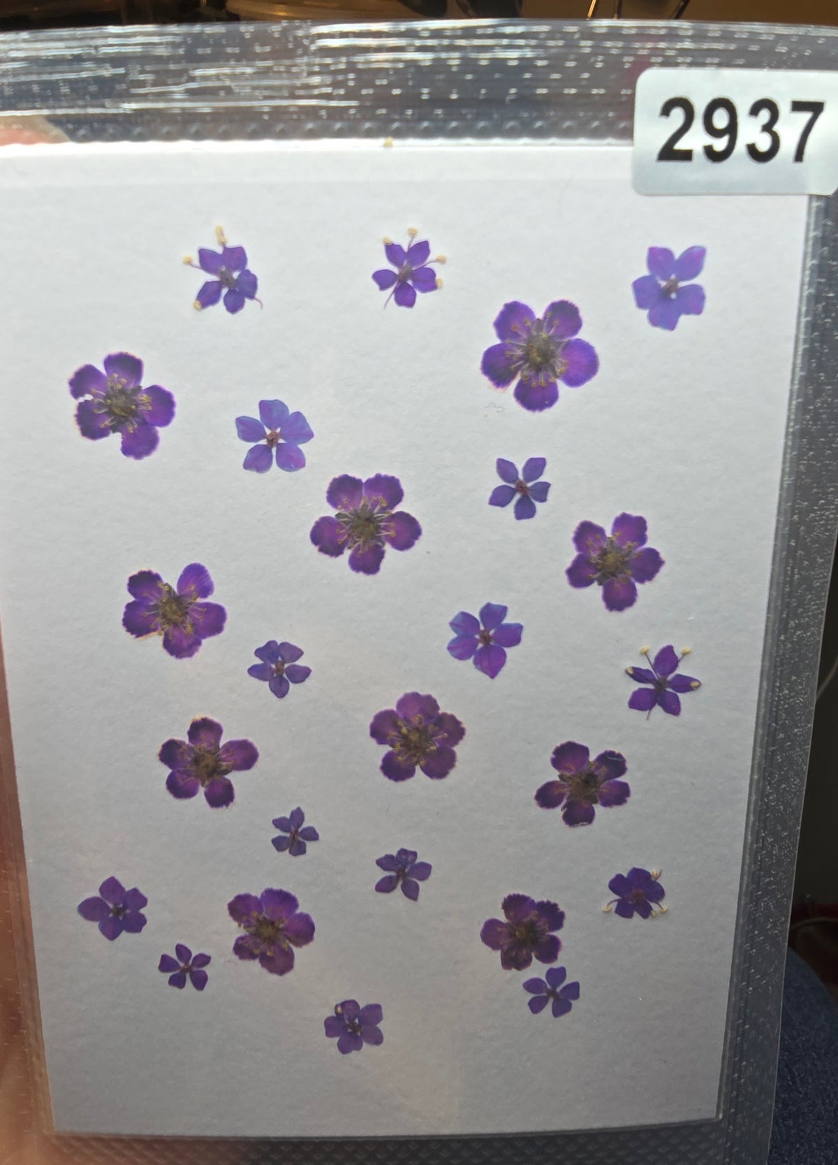 One off flower mixes