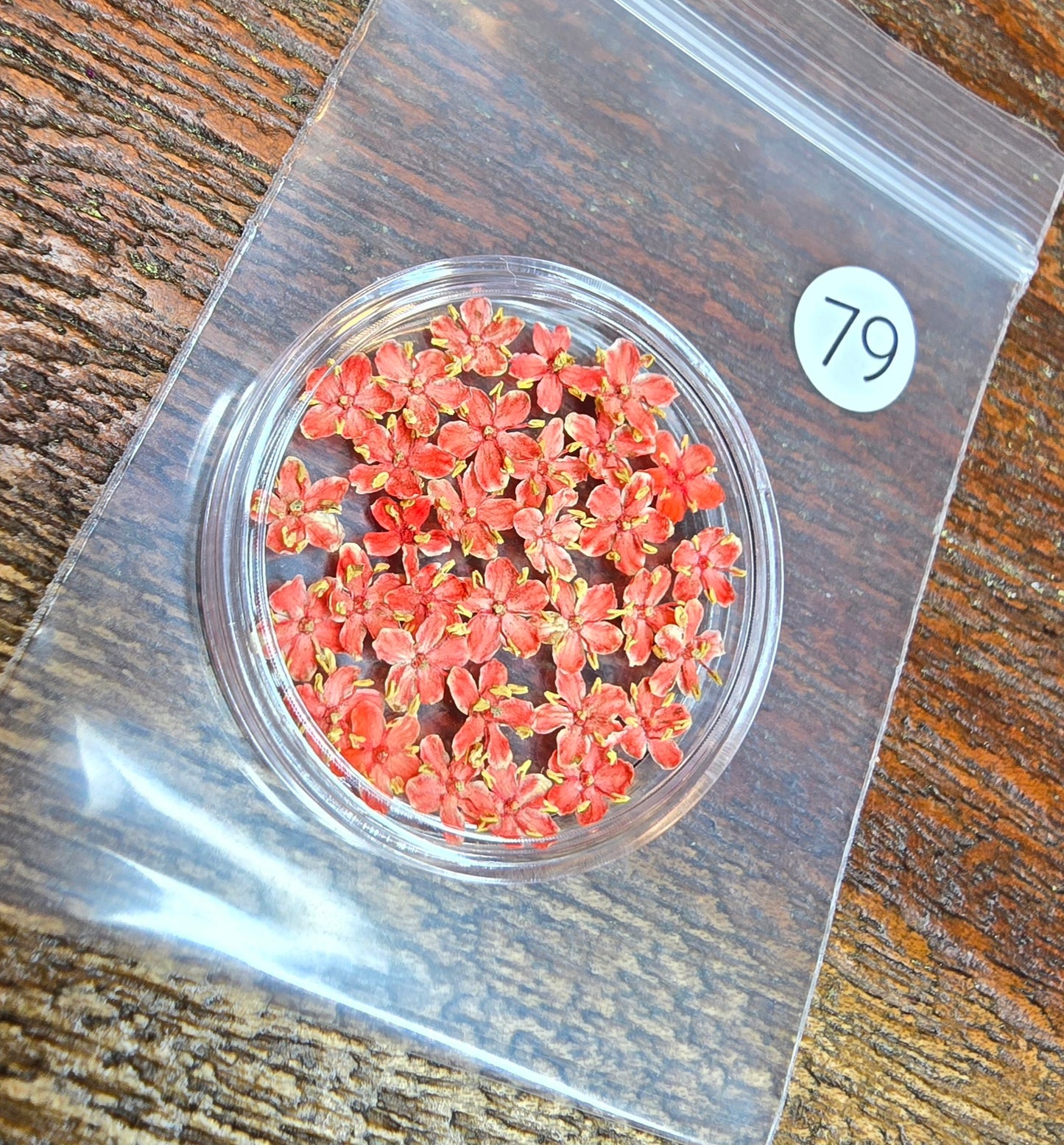 SPECIAL 3D elderflowers