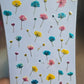 SPECIAL gypsophila flower mix