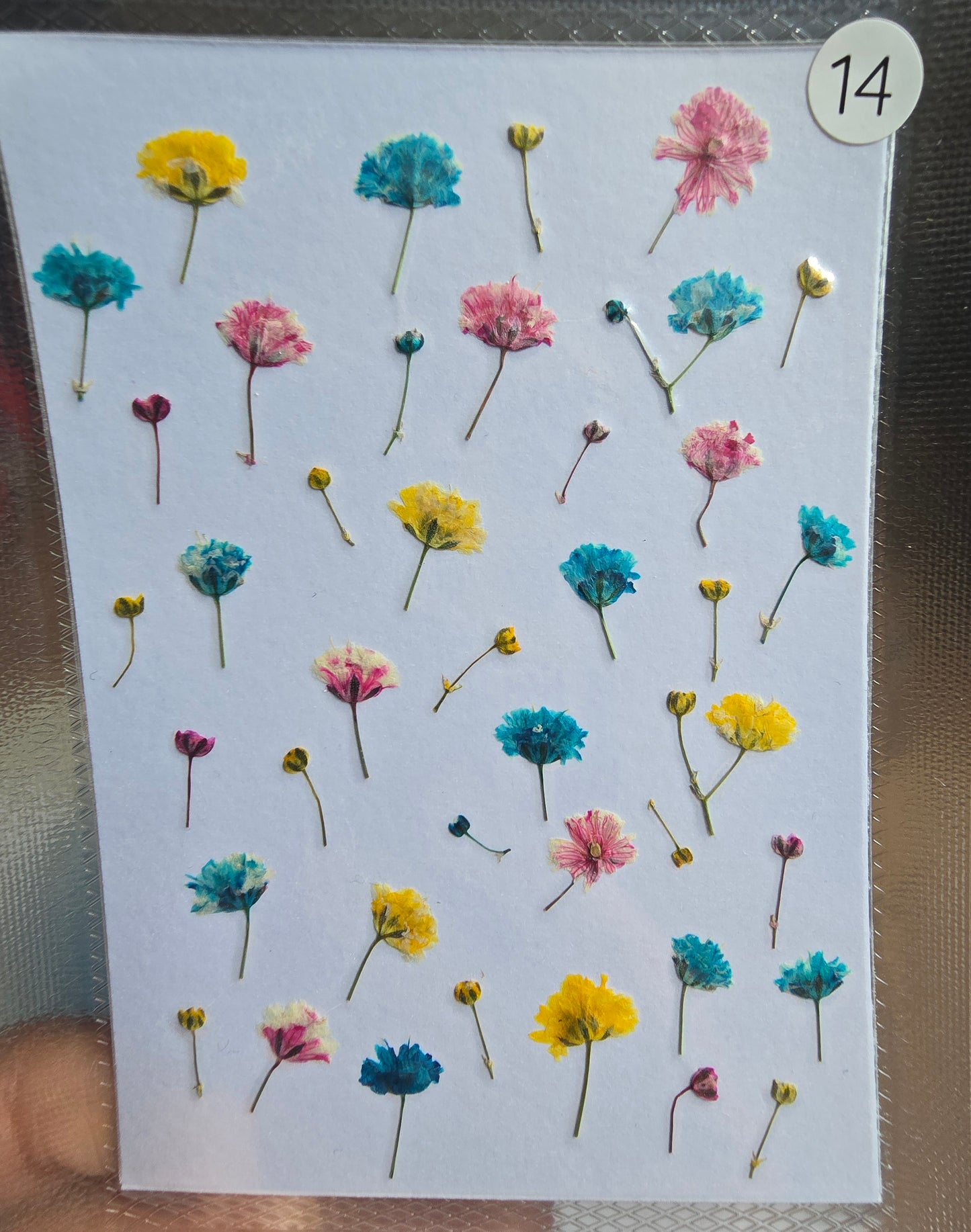 SPECIAL gypsophila flower mix