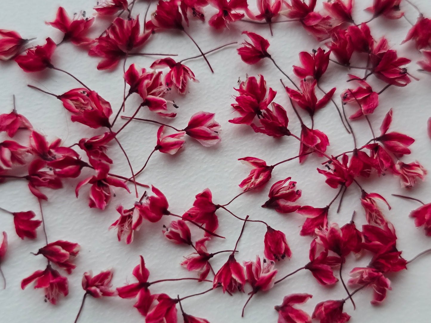 Dyed 3d Japanese blossoms