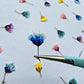 Tiny pressed gypsophila