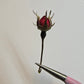 Tiny rose buds