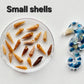 Pristine shells