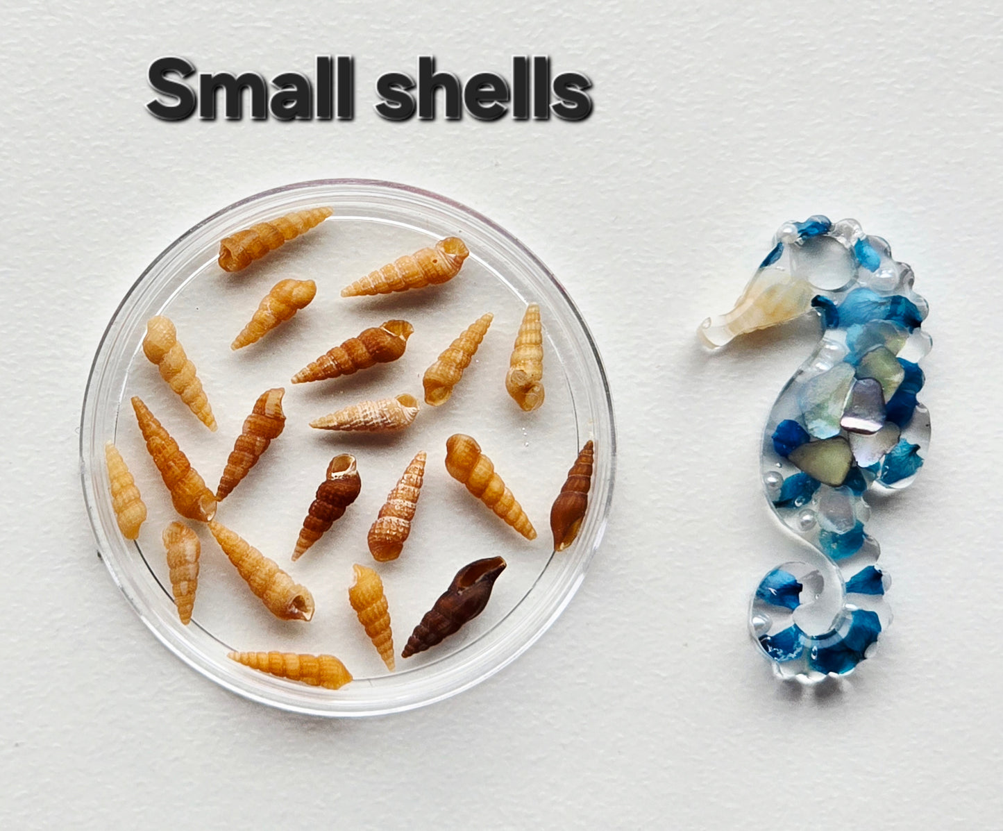 Pristine shells
