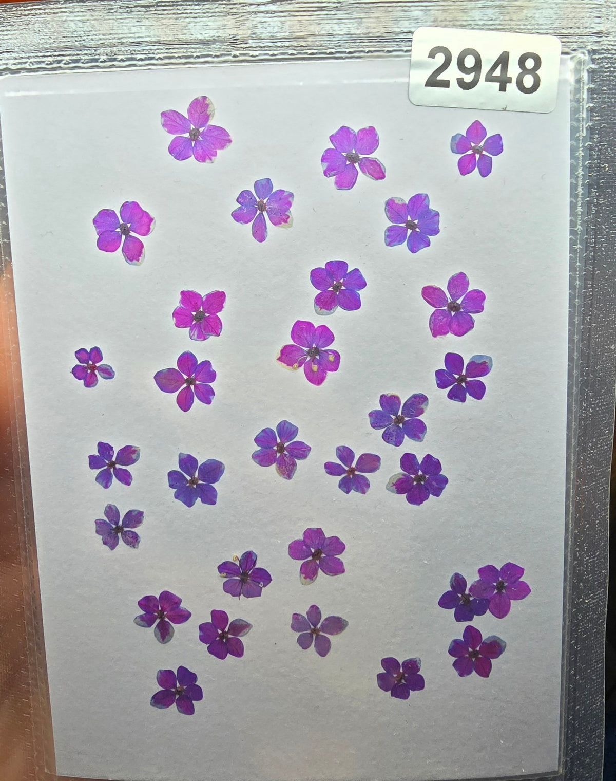 One off flower mixes