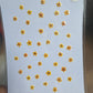 SPECIAL Pressed elderflowers