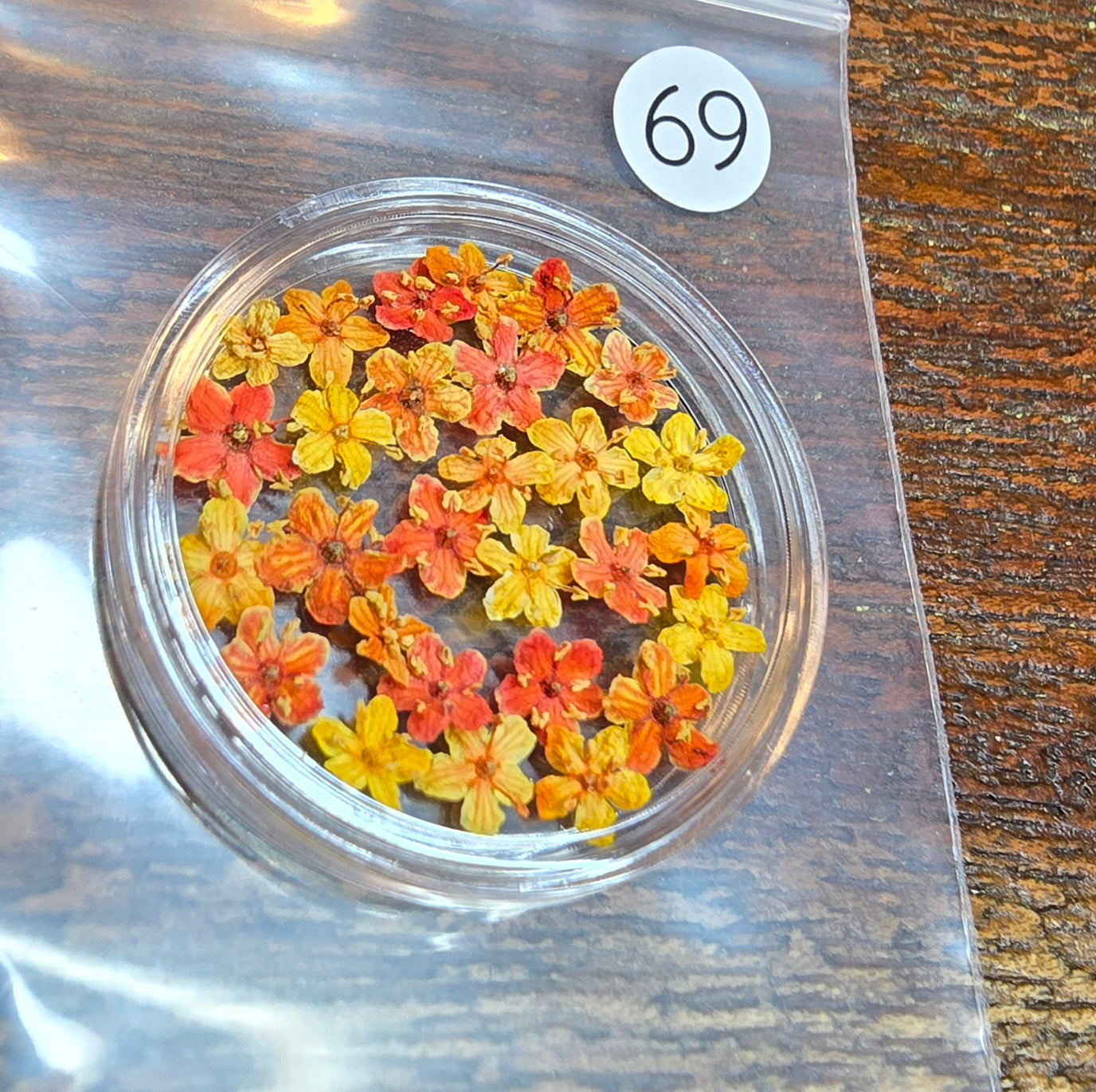 SPECIAL 3D elderflowers