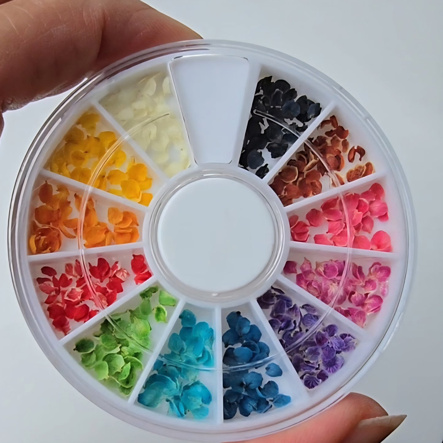 Wheel of colour