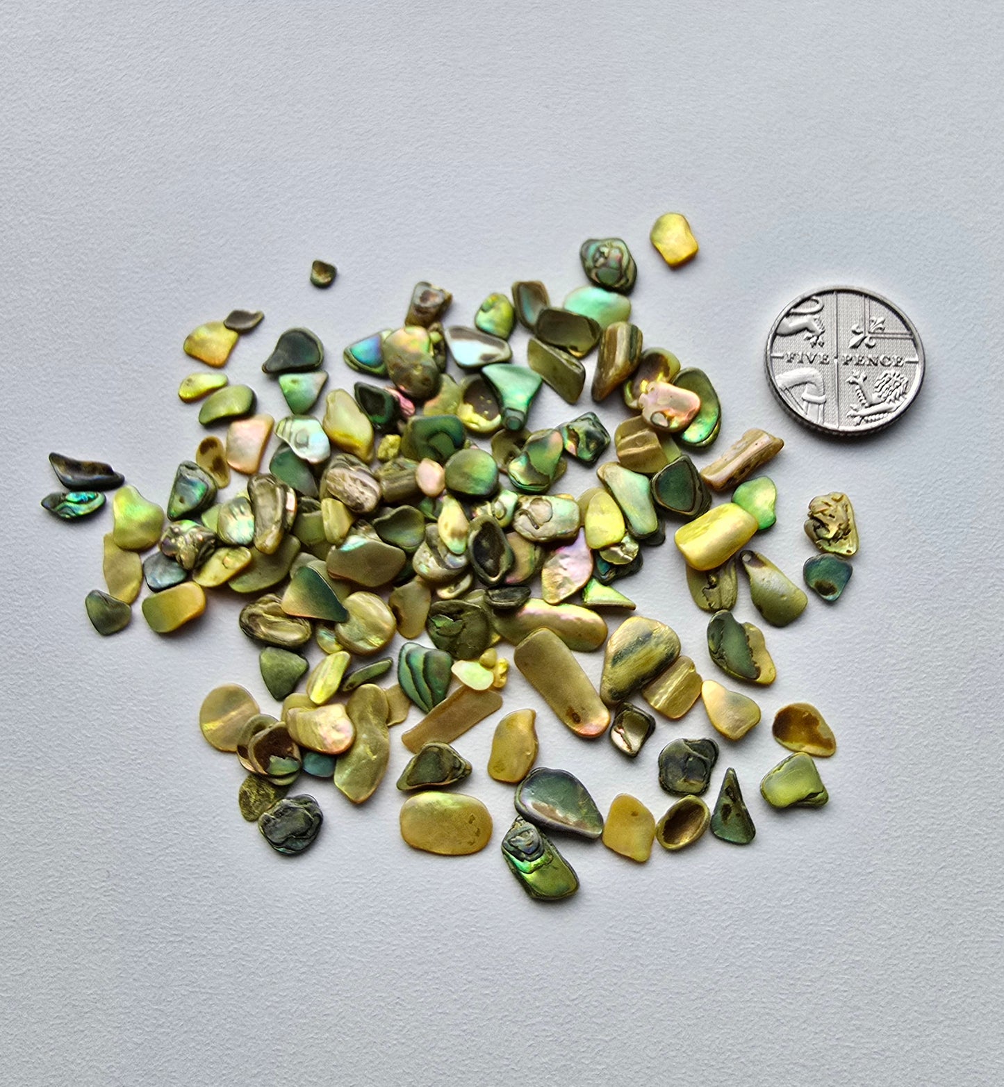 Shell pebbles 10g bags