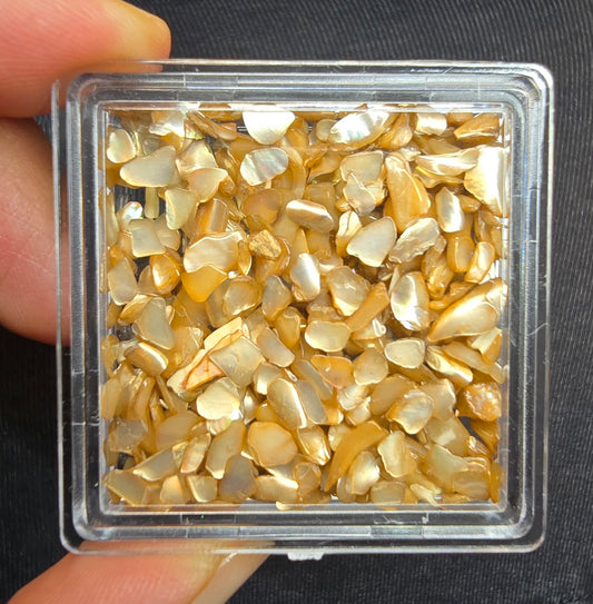 Shell pebbles