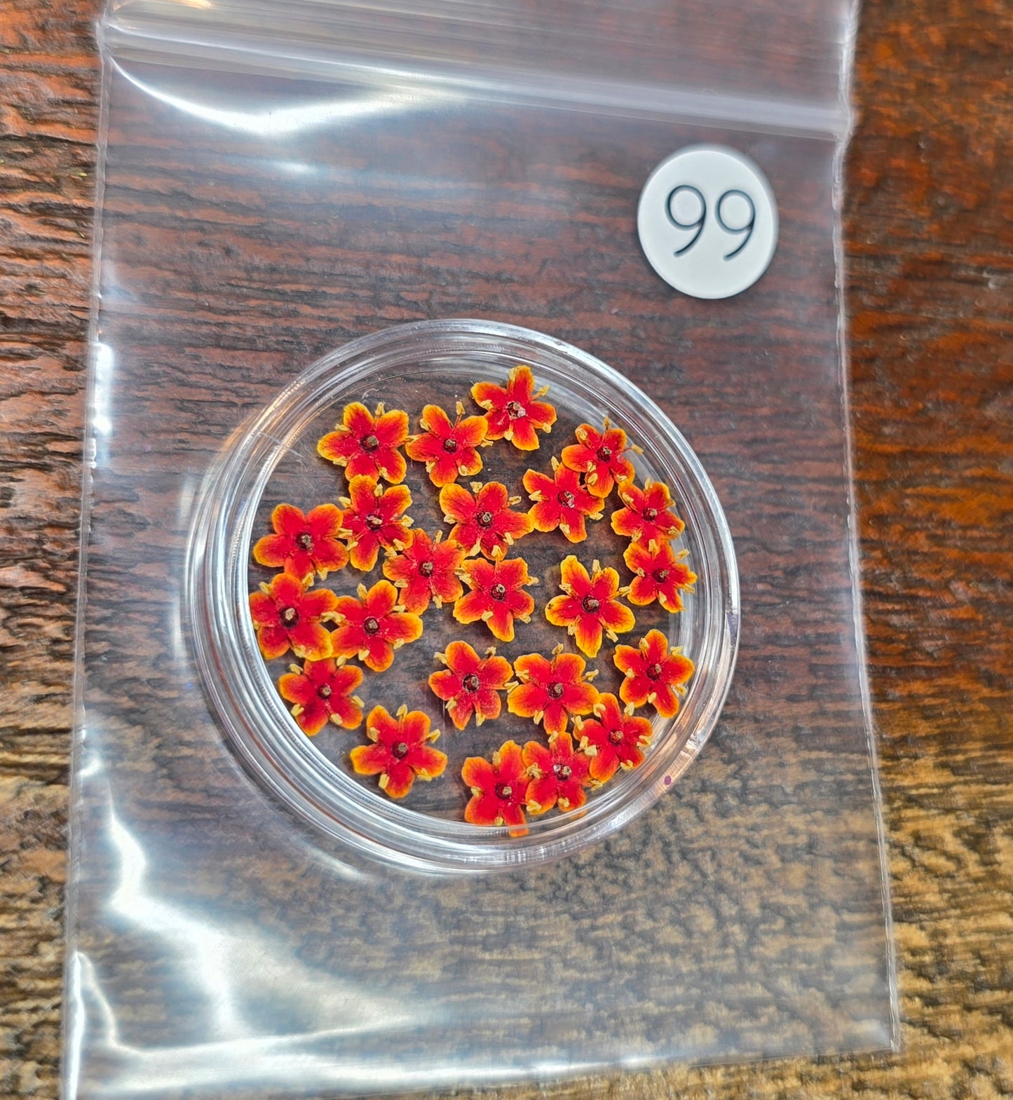 SPECIAL 3D elderflowers