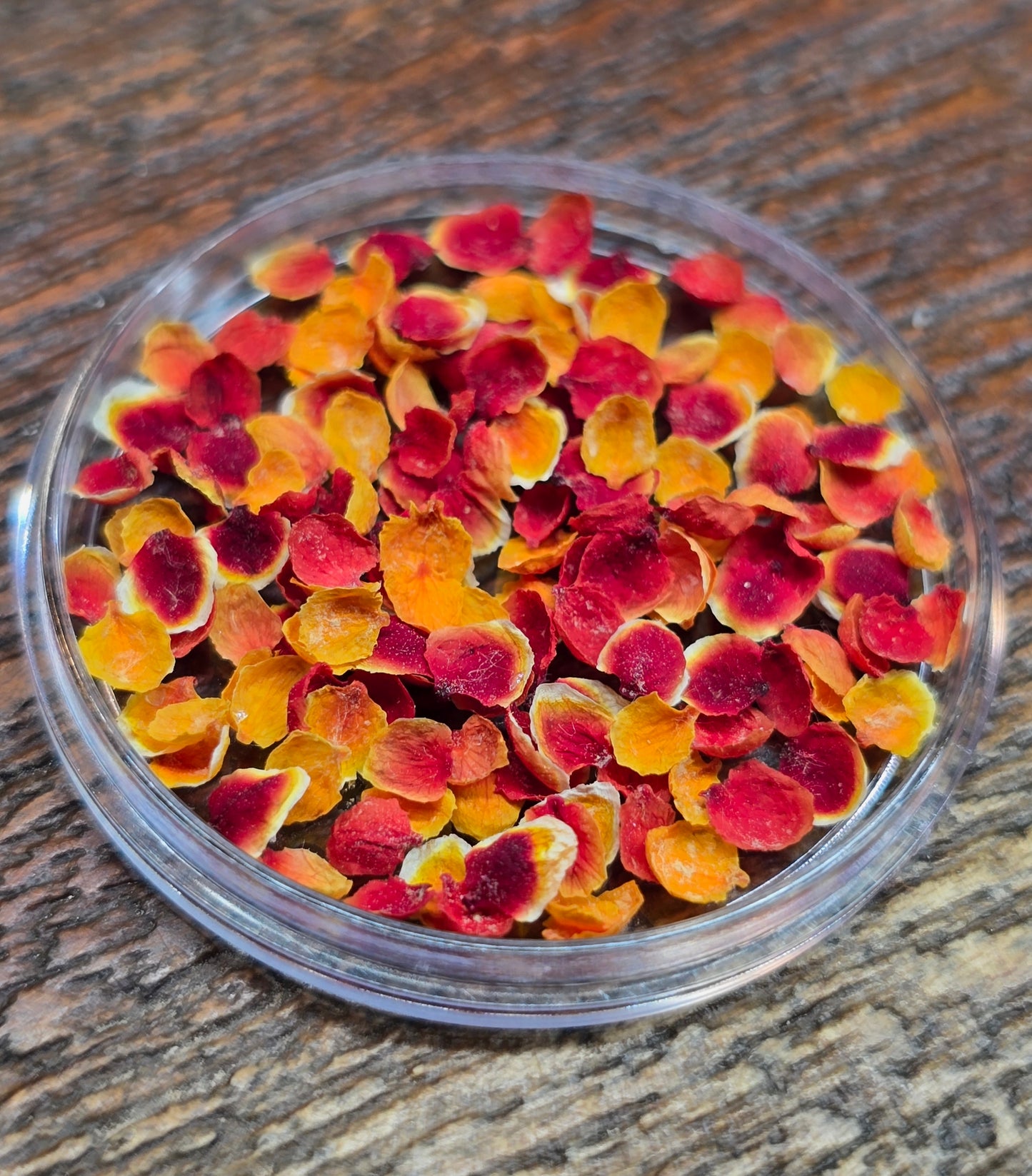 Rowan petals