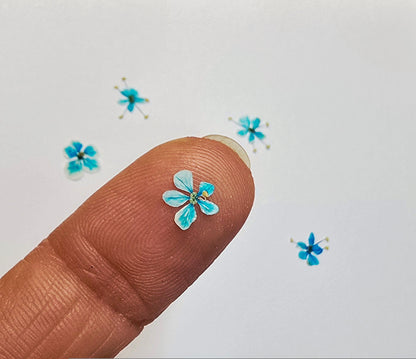 Micro blooms