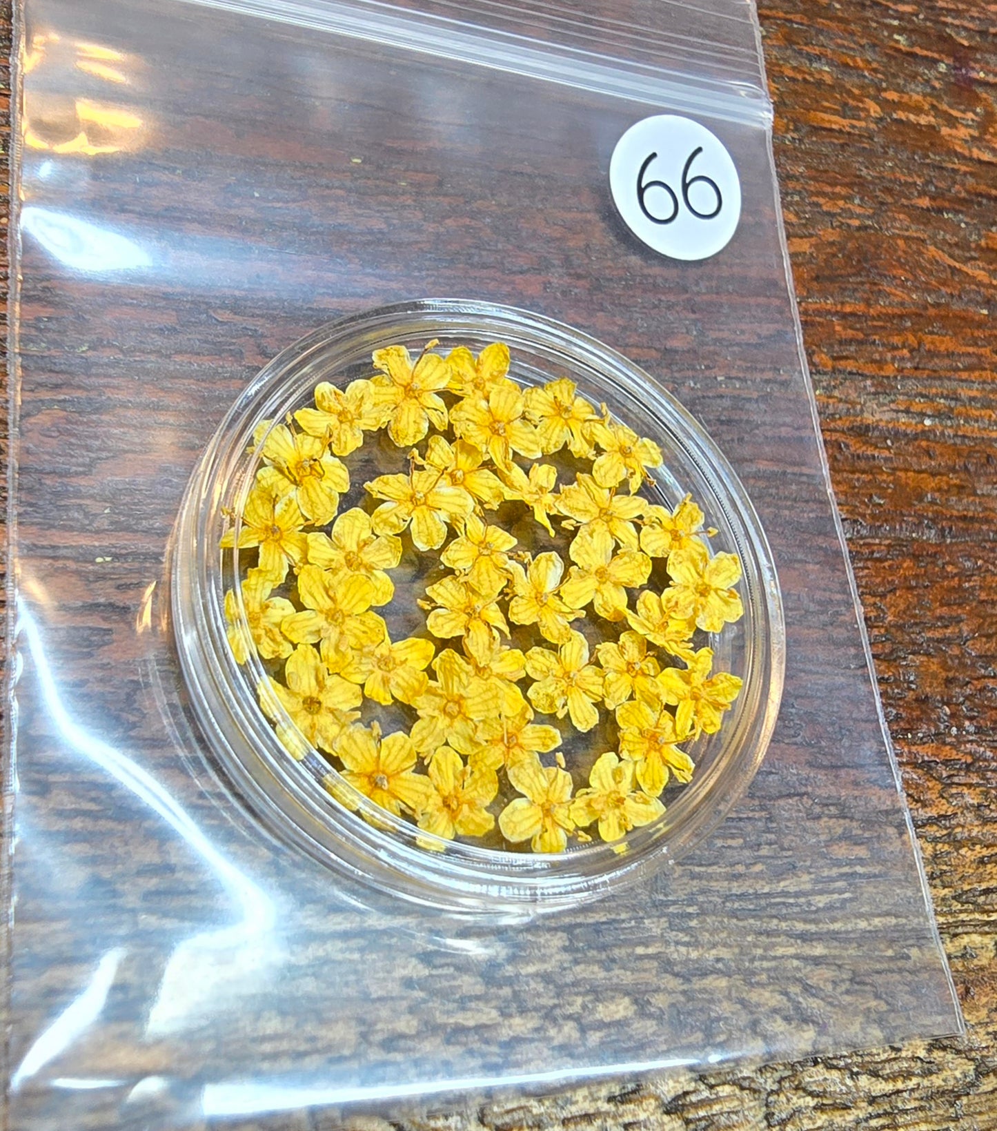 SPECIAL 3D elderflowers