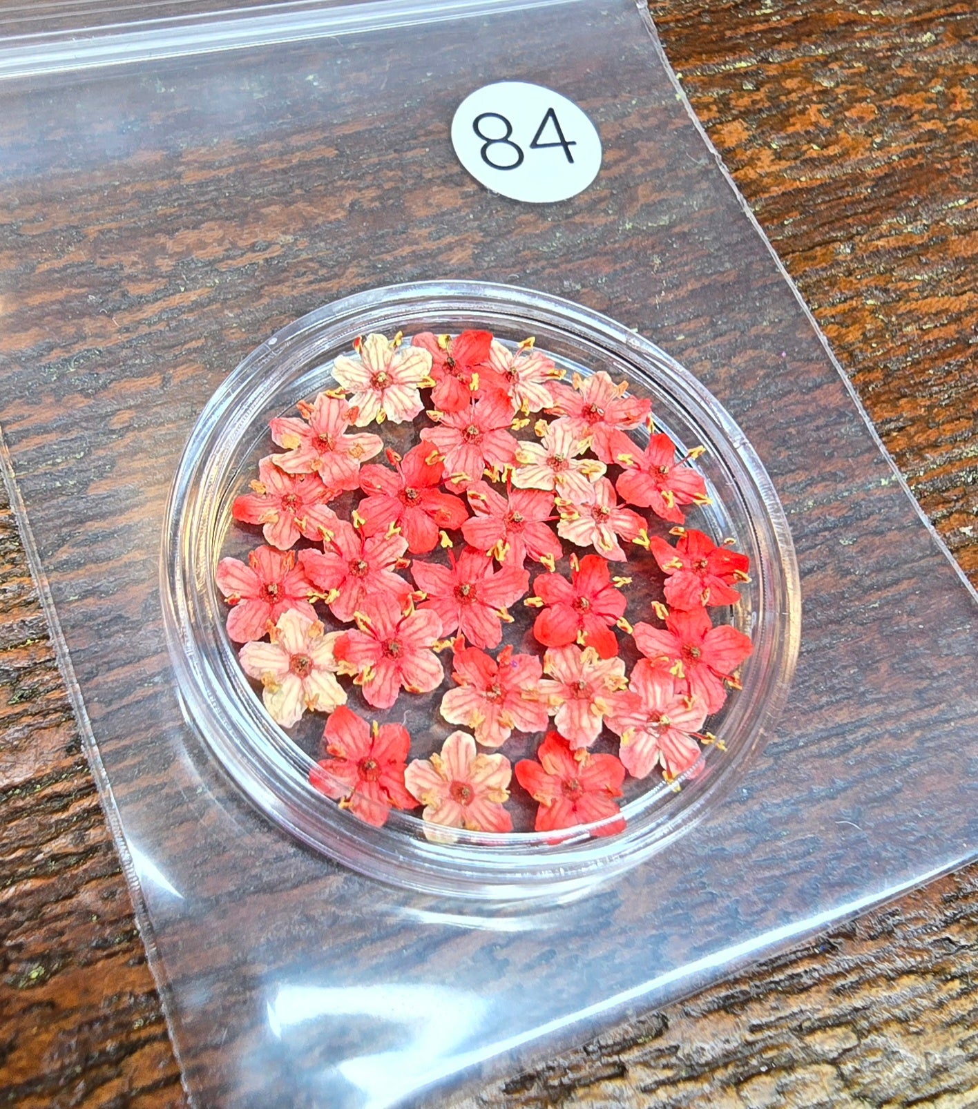 SPECIAL 3D elderflowers