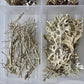 Lichen texture box