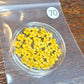 SPECIAL 3D elderflowers