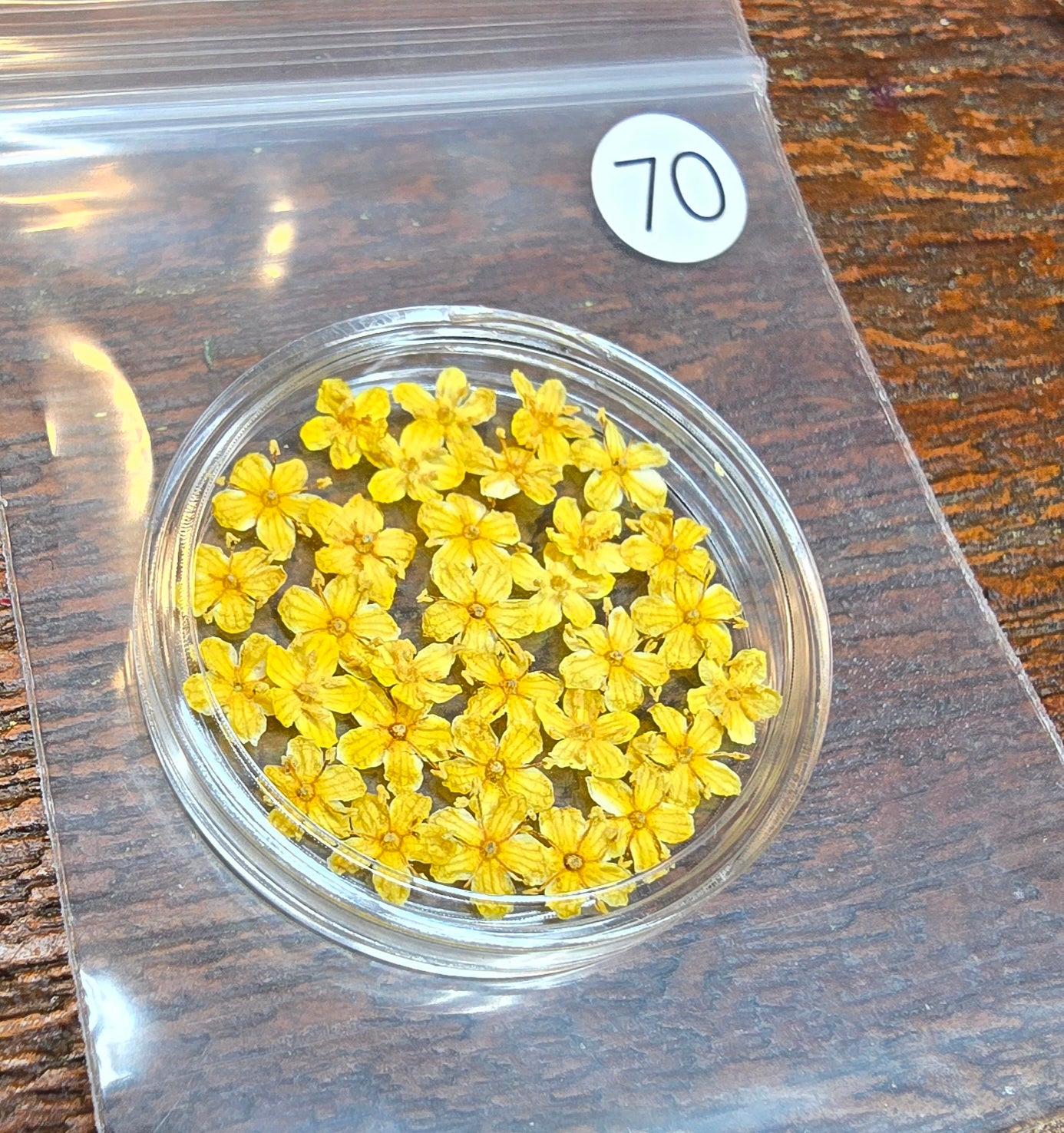 SPECIAL 3D elderflowers