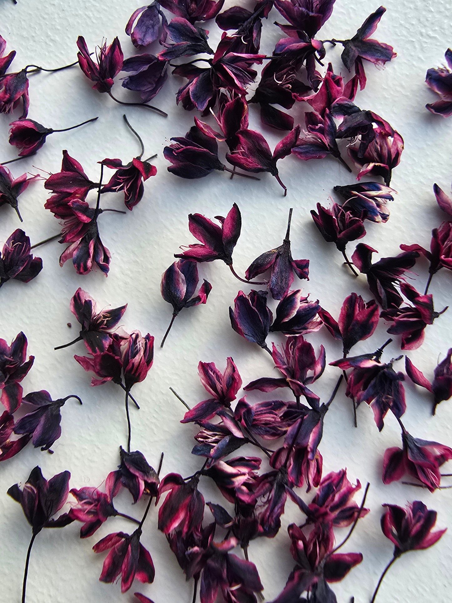 Dyed 3d Japanese blossoms