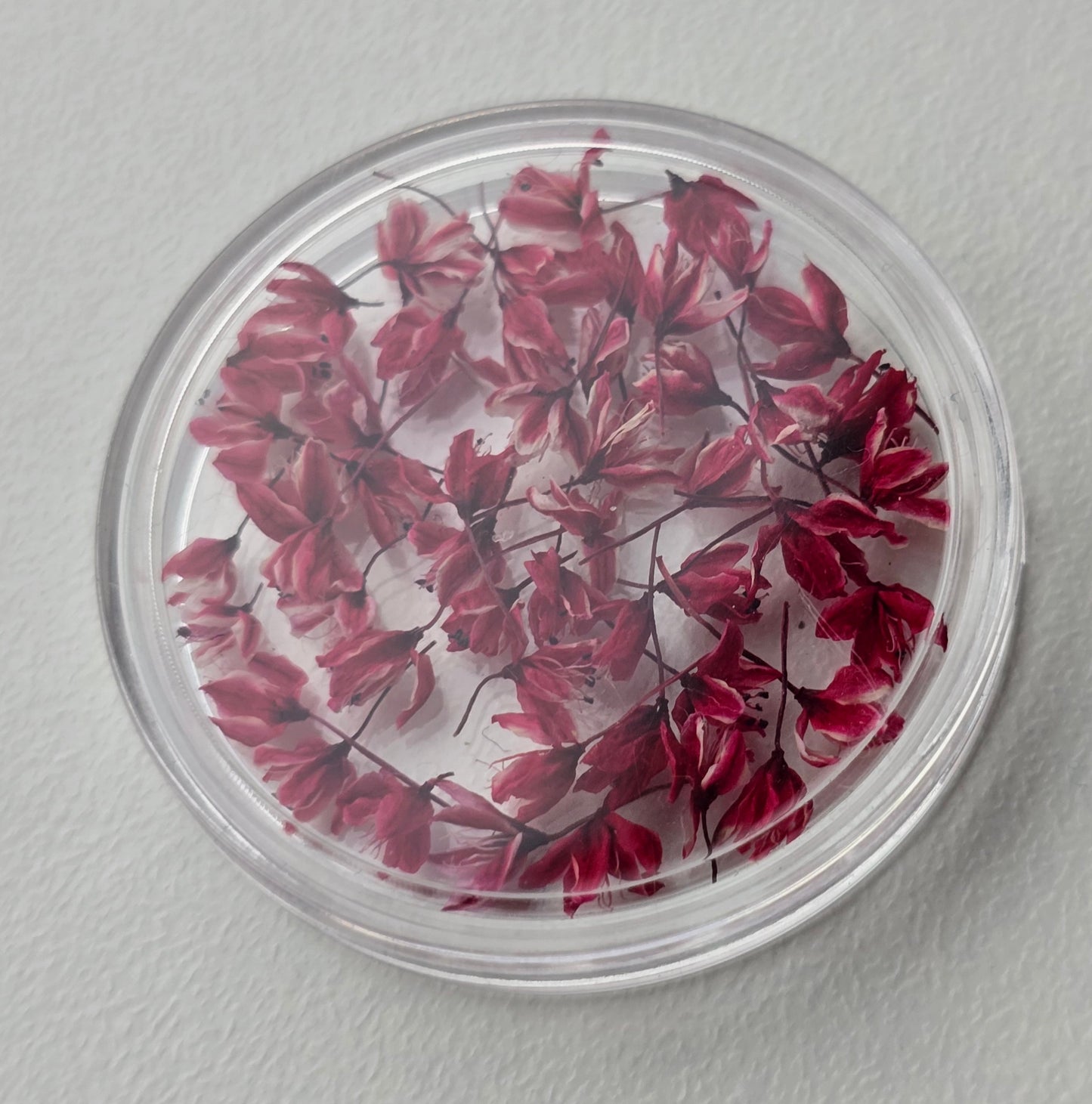 Dyed 3d Japanese blossoms