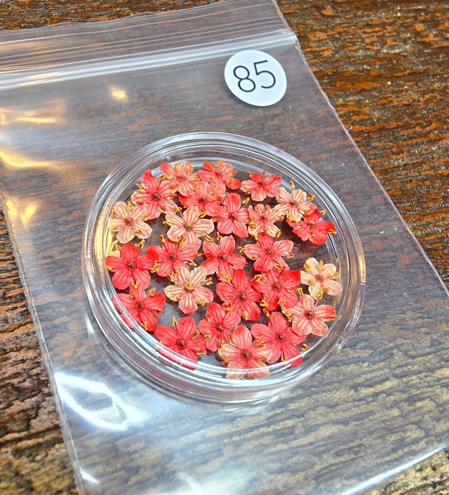 SPECIAL 3D elderflowers