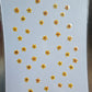 SPECIAL Pressed elderflowers