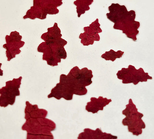 Tiny oak leaves