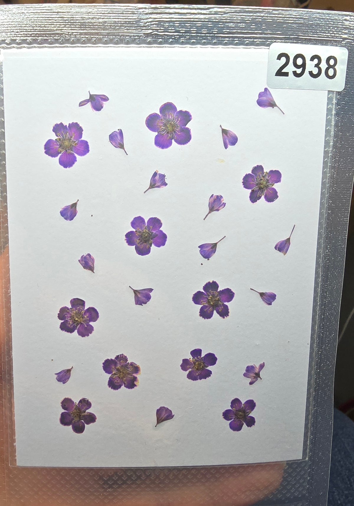 One off flower mixes