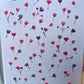 Tiny pressed gypsophila