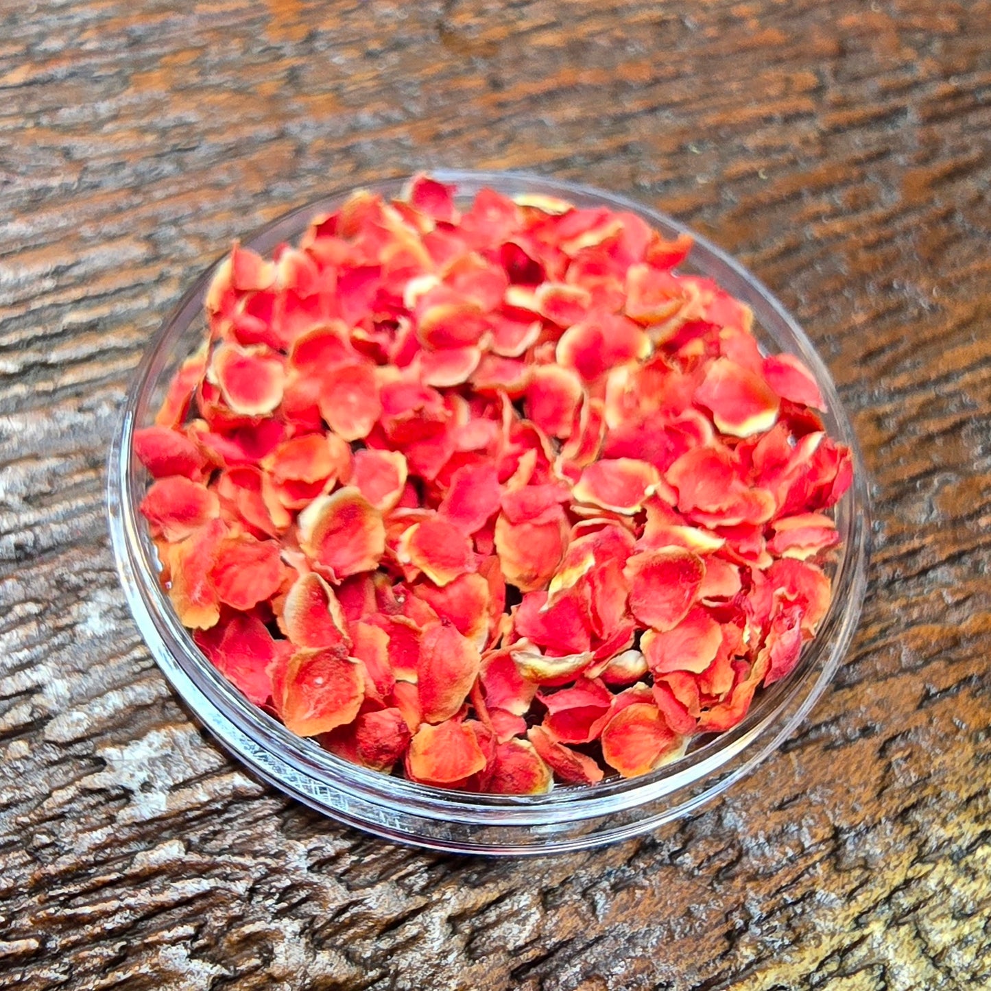 Rowan petals