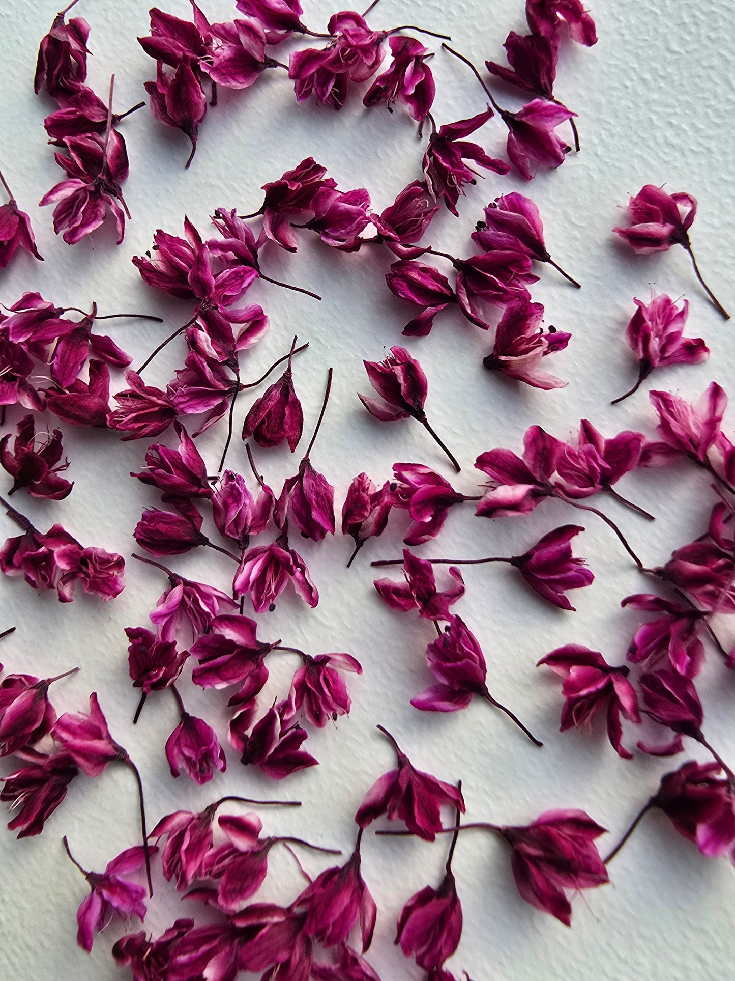 Dyed 3d Japanese blossoms