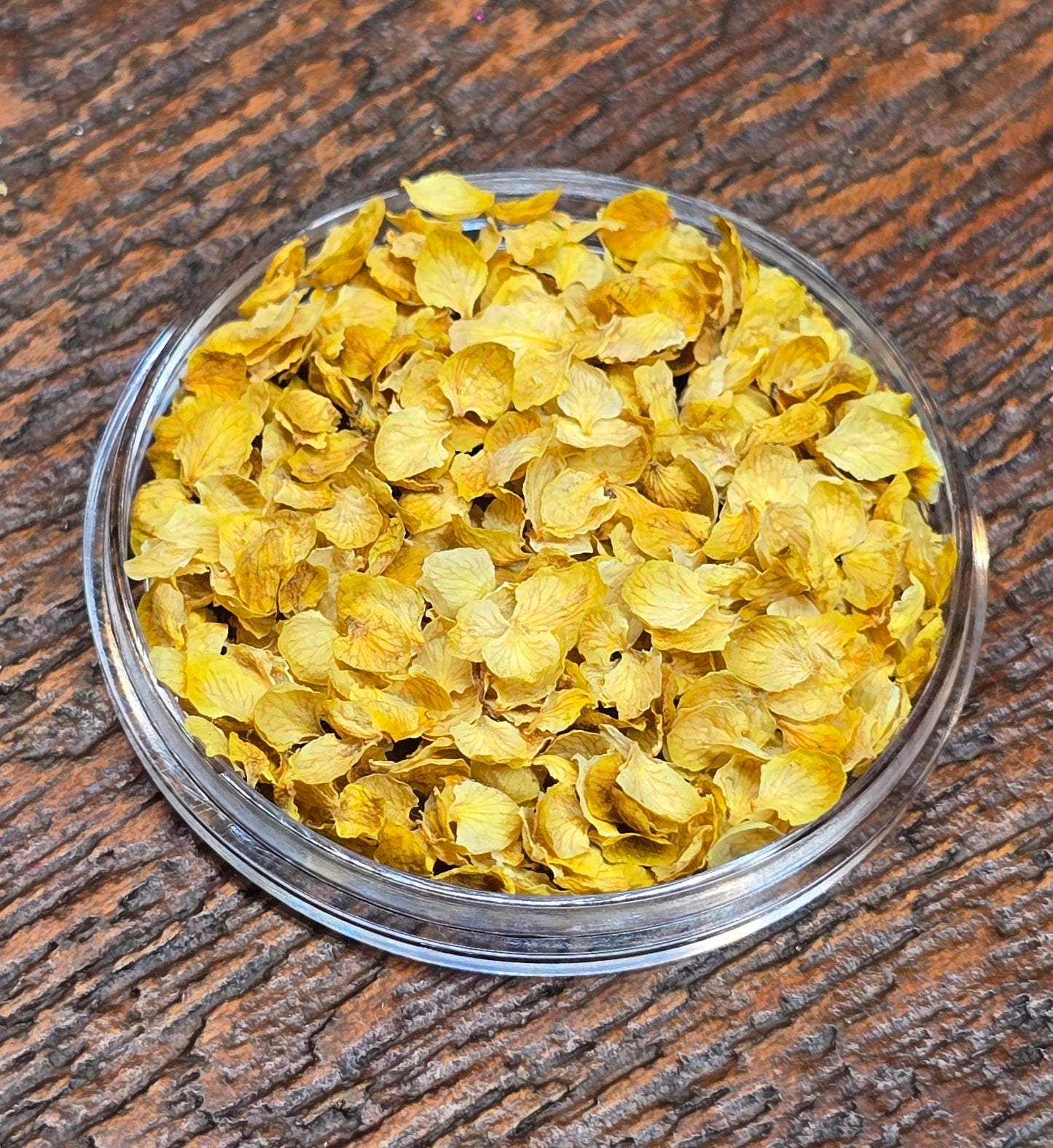 Rowan petals