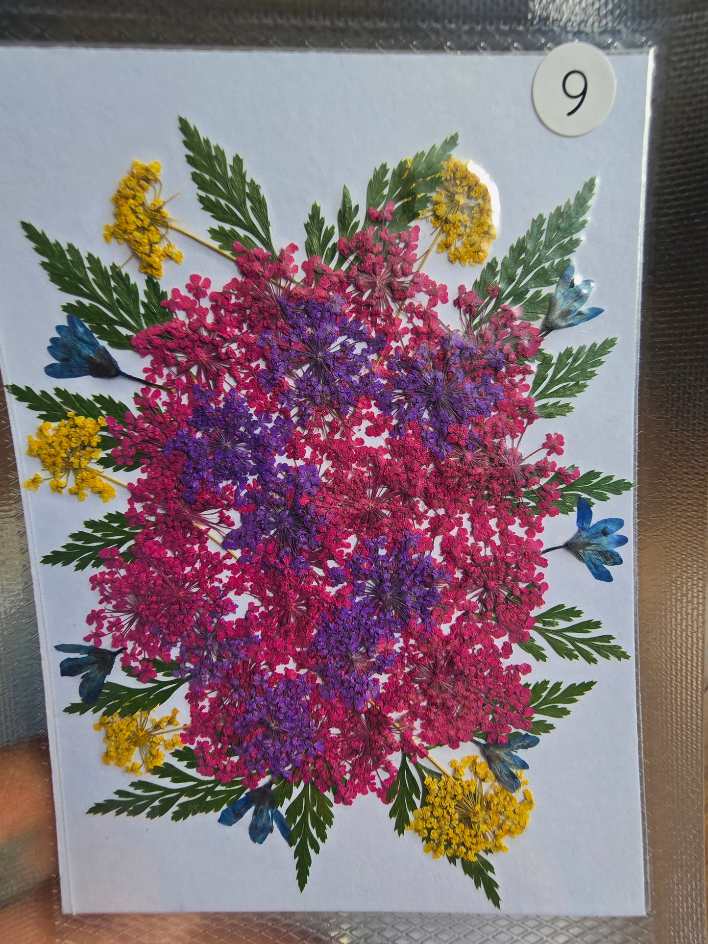 SPECIAL Queen Ann's lace mix of flowers
