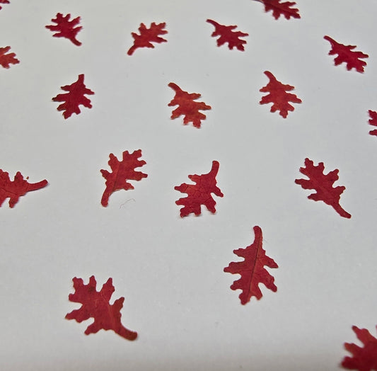 Tiny Shumard oak leaves
