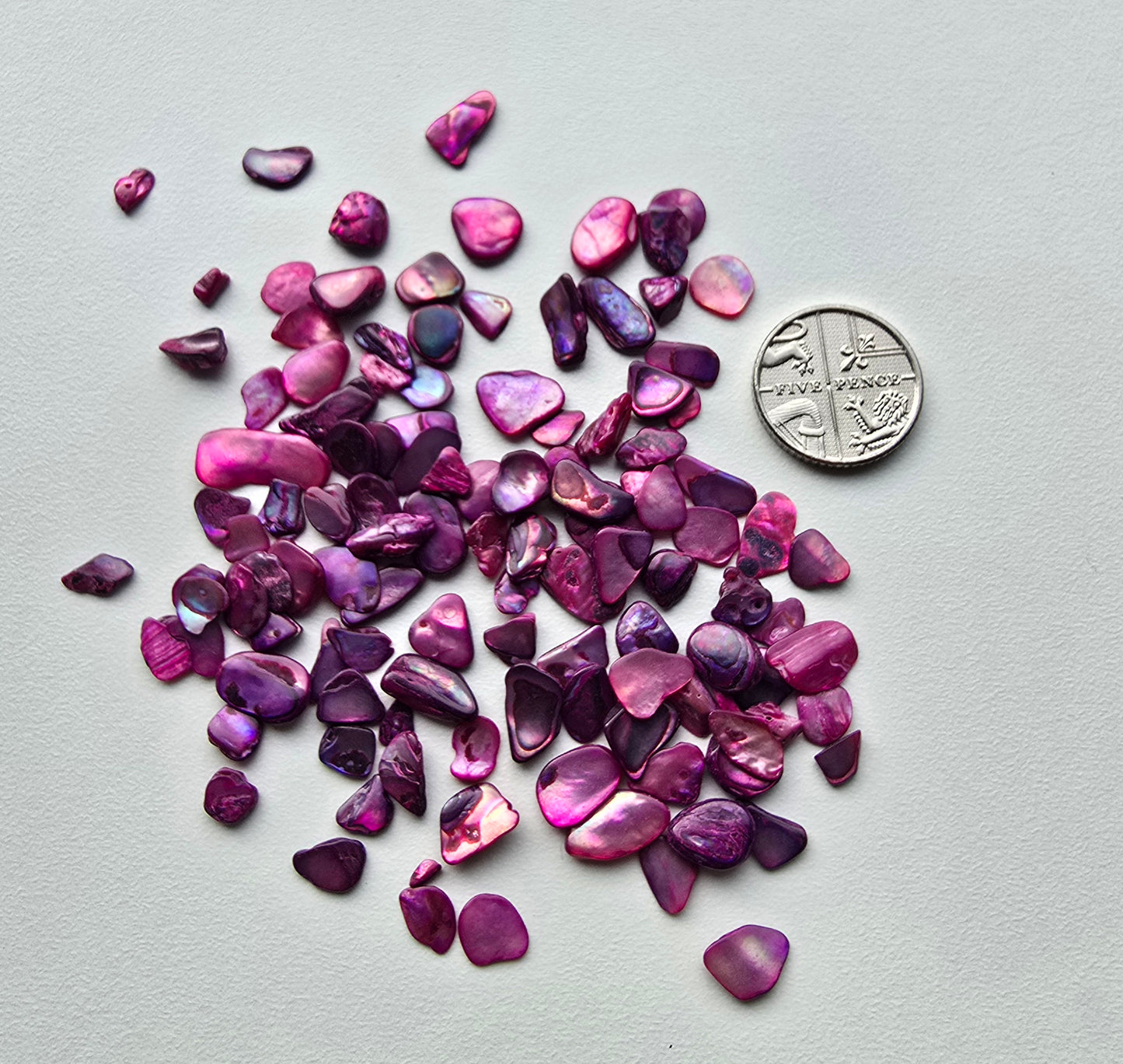 Shell pebbles 10g bags