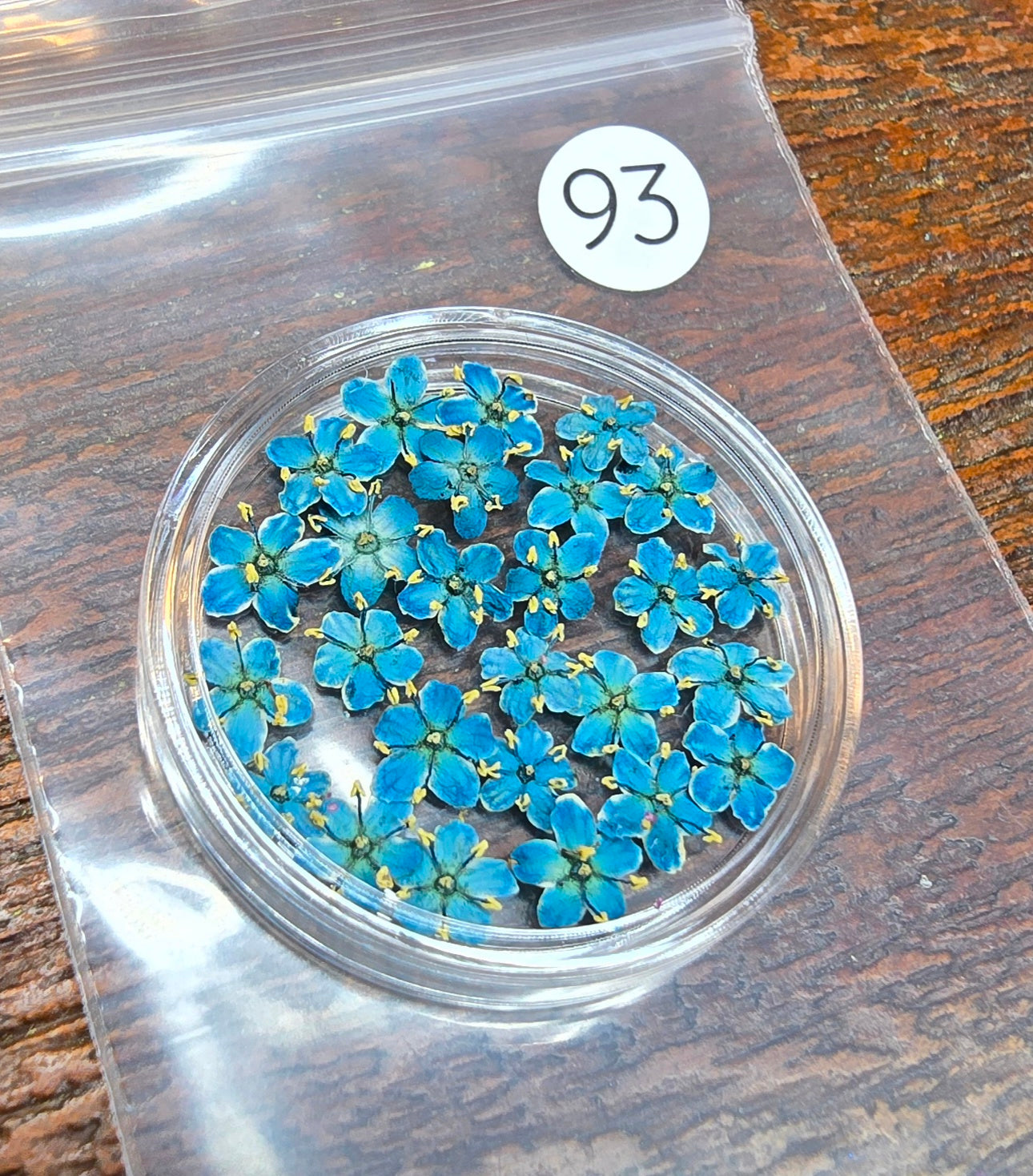 SPECIAL 3D elderflowers