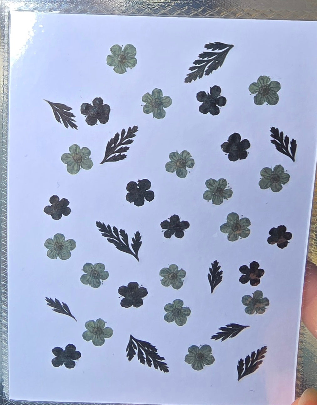 Pressed flowers mix